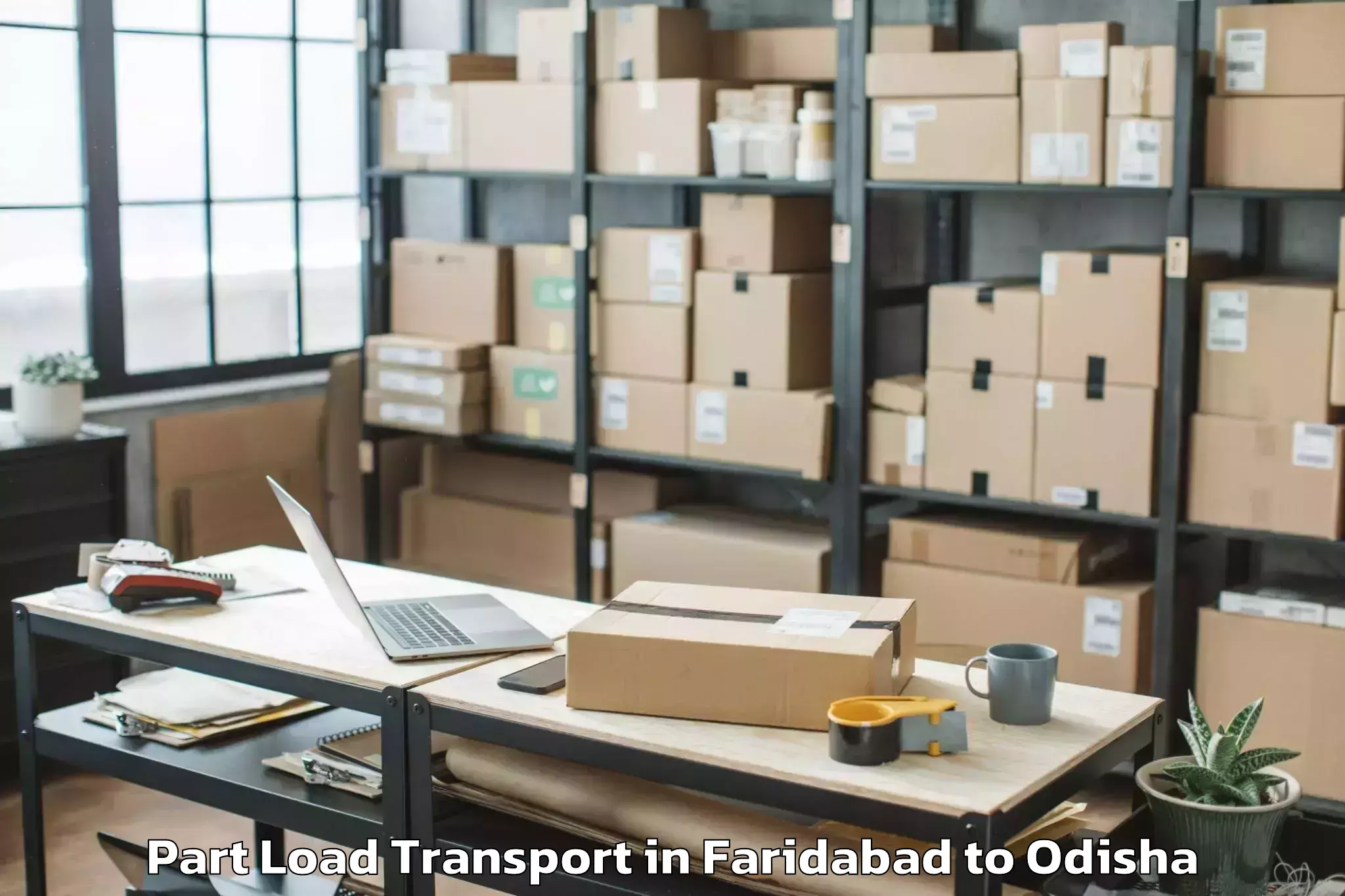 Expert Faridabad to Thelkoloi Part Load Transport